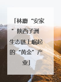 林麝“安家”陕西子洲 生态链上崛起的“黄金”产业