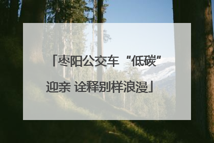 枣阳公交车“低碳”迎亲 诠释别样浪漫