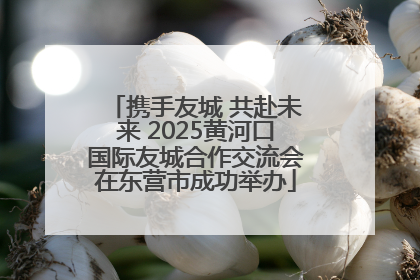 携手友城 共赴未来 2025黄河口国际友城合作交流会在东营市成功举办