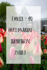 攸县：传承红色基因 凝聚振兴力量