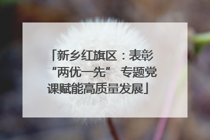 新乡红旗区：表彰 “两优一先” 专题党课赋能高质量发展