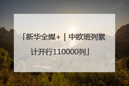 新华全媒+|中欧班列累计开行110000列
