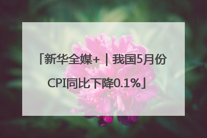 新华全媒+｜我国5月份CPI同比下降0.1%