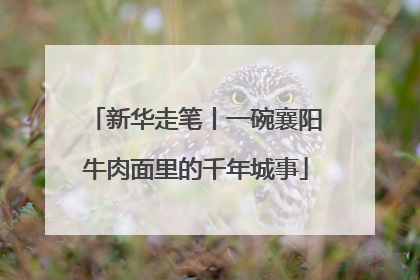 新华走笔丨一碗襄阳牛肉面里的千年城事