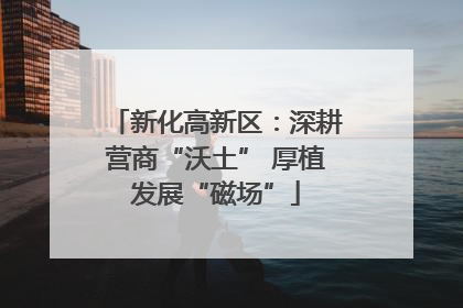 新化高新区：深耕营商“沃土” 厚植发展“磁场”