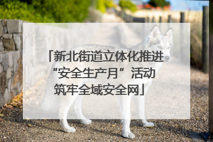 新北街道立体化推进“安全生产月”活动 筑牢全域安全网