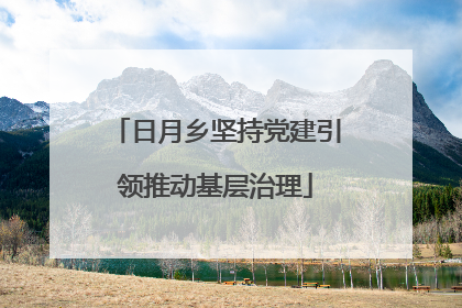 日月乡坚持党建引领推动基层治理