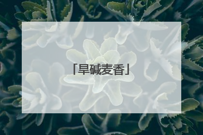 旱碱麦香