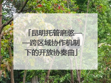 昆明托管磨憨——跨区域协作机制下的开放协奏曲