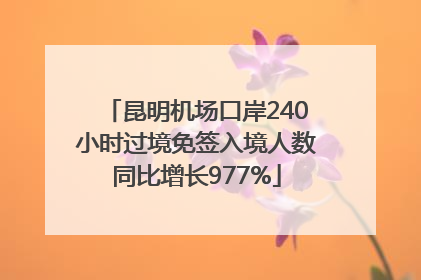 昆明机场口岸240小时过境免签入境人数同比增长977%