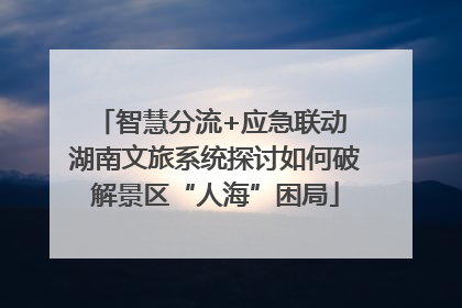 智慧分流+应急联动 湖南文旅系统探讨如何破解景区“人海”困局