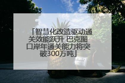 智慧化改造驱动通关效能跃升 巴克图口岸年通关能力将突破300万吨