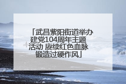 武昌紫阳街道举办建党104周年主题活动 赓续红色血脉锻造过硬作风