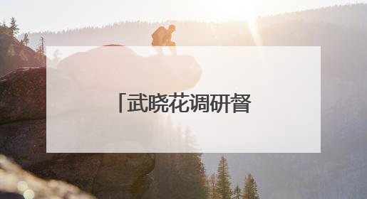 武晓花调研督导群众身边不正之风和腐败问题集中整治工作