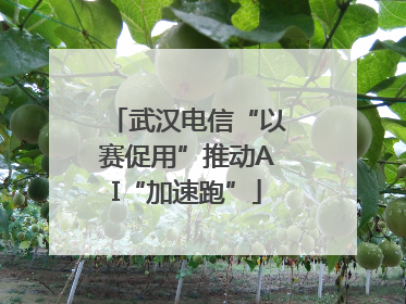 武汉电信“以赛促用”推动AI“加速跑”