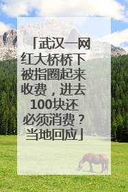 武汉一网红大桥桥下被指圈起来收费，进去100块还必须消费？当地回应