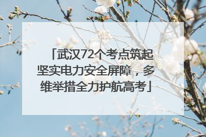 武汉72个考点筑起坚实电力安全屏障，多维举措全力护航高考