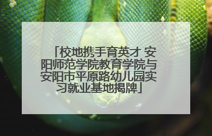校地携手育英才 安阳师范学院教育学院与安阳市平原路幼儿园实习就业基地揭牌