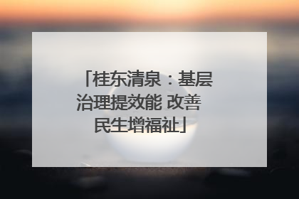 桂东清泉：基层治理提效能 改善民生增福祉