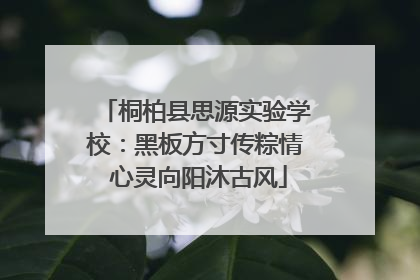 桐柏县思源实验学校：黑板方寸传粽情 心灵向阳沐古风