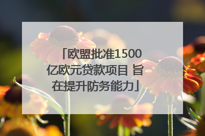欧盟批准1500亿欧元贷款项目 旨在提升防务能力