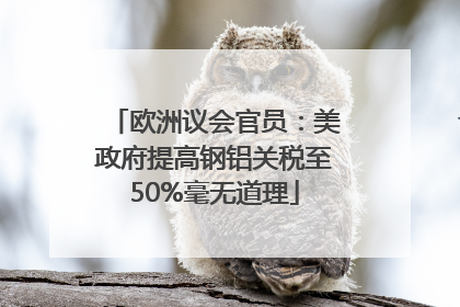 欧洲议会官员：美政府提高钢铝关税至50%毫无道理