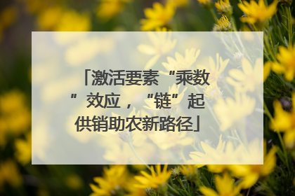 激活要素“乘数”效应，“链”起供销助农新路径