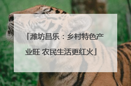 潍坊昌乐：乡村特色产业旺 农民生活更红火