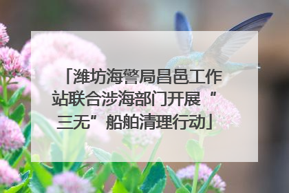 潍坊海警局昌邑工作站联合涉海部门开展“三无”船舶清理行动