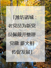潍坊诸城：老党员为新党员佩戴并整理党徽 薪火相传促发展