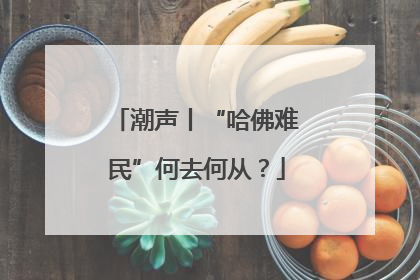 潮声丨“哈佛难民”何去何从？