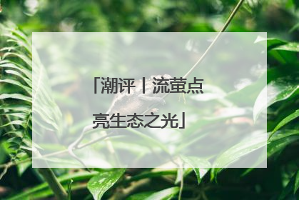 潮评丨流萤点亮生态之光