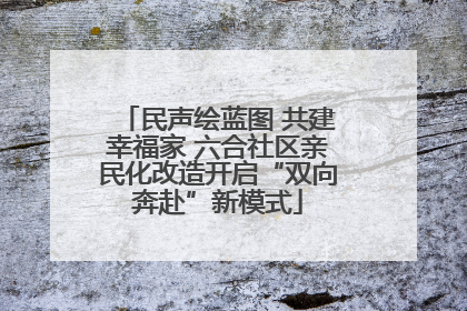 民声绘蓝图 共建幸福家 六合社区亲民化改造开启“双向奔赴”新模式
