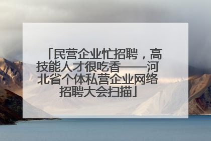 民营企业忙招聘，高技能人才很吃香——河北省个体私营企业网络招聘大会扫描