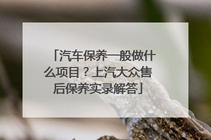 汽车保养一般做什么项目？上汽大众售后保养实录解答