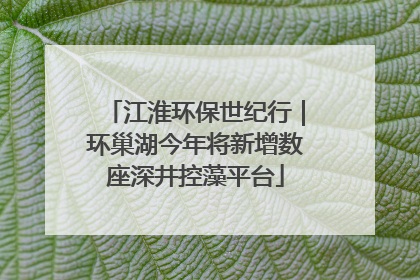 江淮环保世纪行｜环巢湖今年将新增数座深井控藻平台
