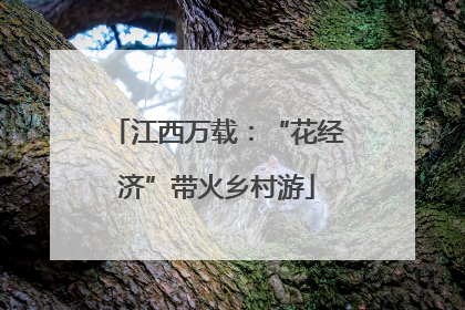 江西万载：“花经济”带火乡村游