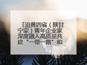 沿黄四省（陕甘宁蒙）青年企业家深度融入高质量共建“一带一路”和西部陆海新通道建设战略合作交流会在甘肃兰州召开