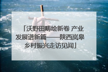 沃野田畴绘新卷 产业发展谱新篇——陕西岚皋乡村振兴走访见闻