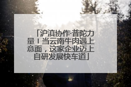 沪滇协作·普陀力量〡当云南牛肉遇上意面，这家企业迈上自研发展快车道