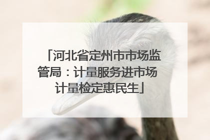 河北省定州市市场监管局：计量服务进市场 计量检定惠民生