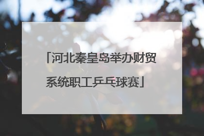 河北秦皇岛举办财贸系统职工乒乓球赛