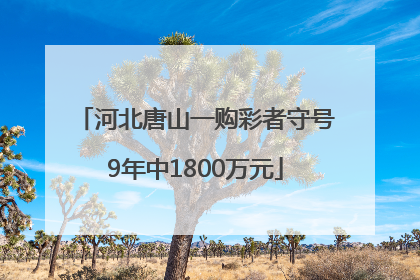 河北唐山一购彩者守号9年中1800万元