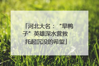 河北大名：“旱鸭子”英雄深水营救 托起沉没的希望