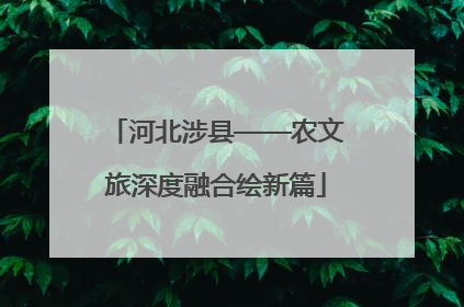 河北涉县——农文旅深度融合绘新篇