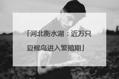 河北衡水湖：近万只夏候鸟进入繁殖期