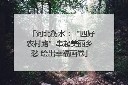 河北衡水：“四好农村路”串起美丽乡愁 绘出幸福画卷