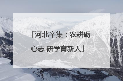 河北辛集：农耕砺心志 研学育新人