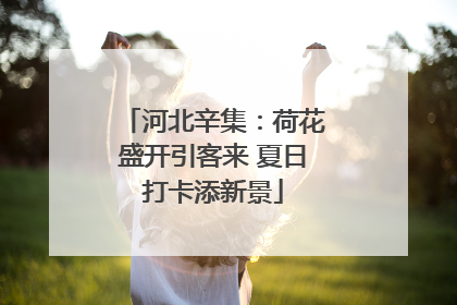 河北辛集：荷花盛开引客来 夏日打卡添新景