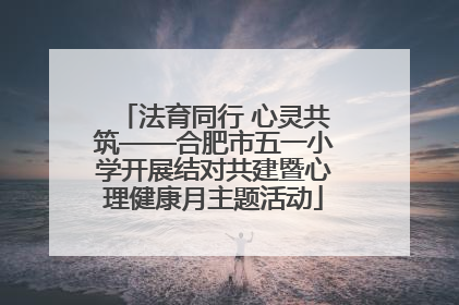 法育同行 心灵共筑——合肥市五一小学开展结对共建暨心理健康月主题活动